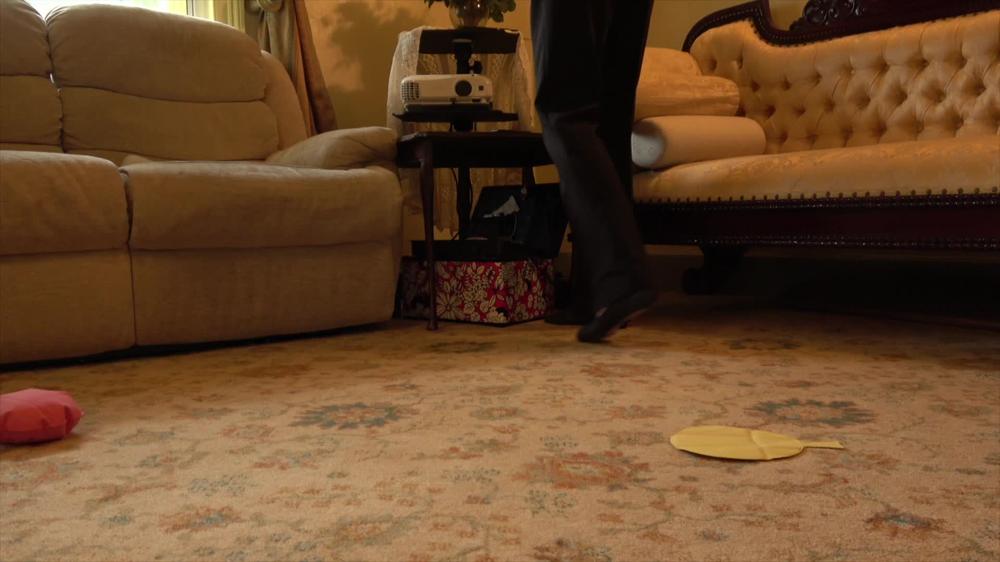 Ariel Anderssen Cat Burglar Whoopee Cushion Disaster