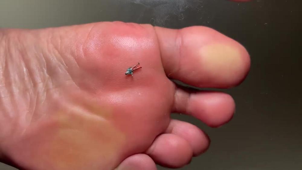 Giantess Smashes With Flip Flops Feet