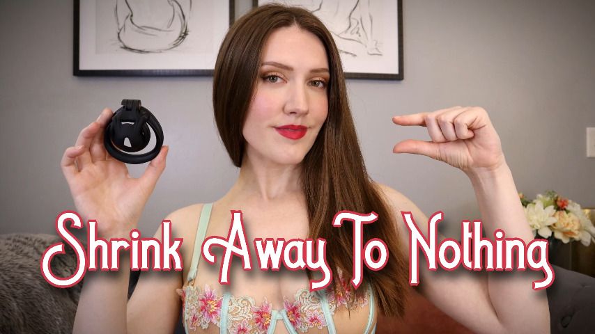 Shrink Away To Nothing - June 13, 2023