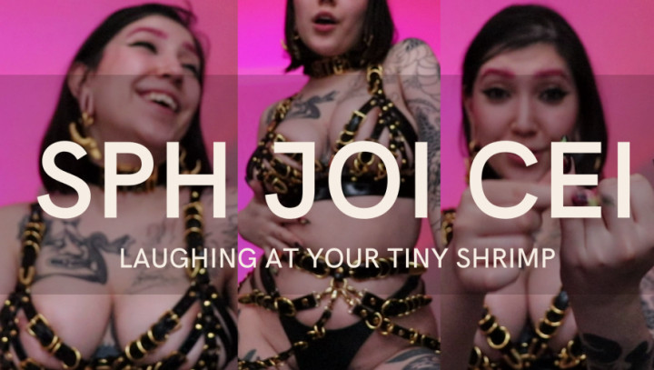 SPH JOI CEI:LAUGHING AT YOUR TINY SHRIMP