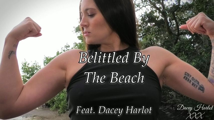 Belittled By The Beach - November 01, 2022
