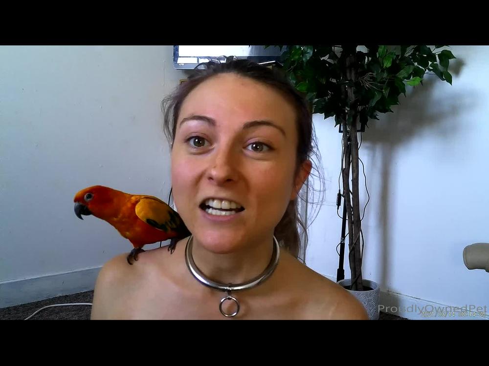 boundbyflames 06 07 2021 2155499734 A quick update video from a new camera. We've been having some trouble with it, so it's a