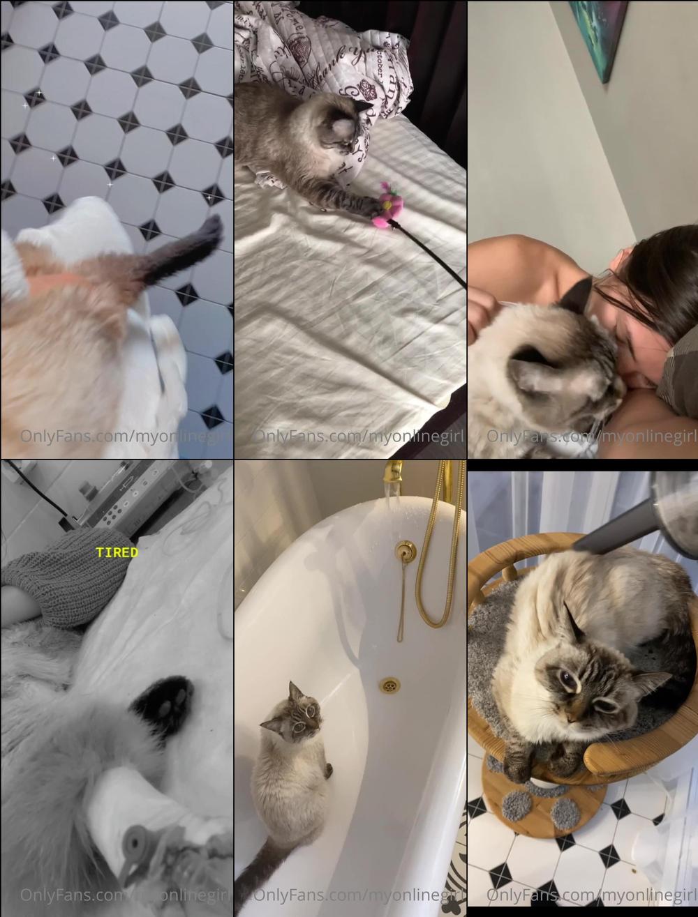 myonlinegirl 11 06 2022 2485073206 Hi dear  You maybe donât know but for almost half of my life I had a cat. Time is runnin