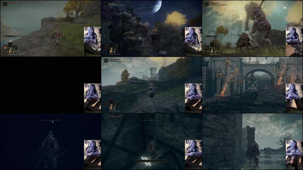 Stream Vod: Elden Ring with Shiori Part 1