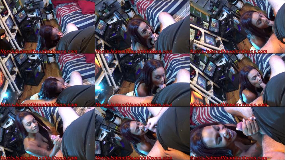 Bella Star sucks the camera guys dick
