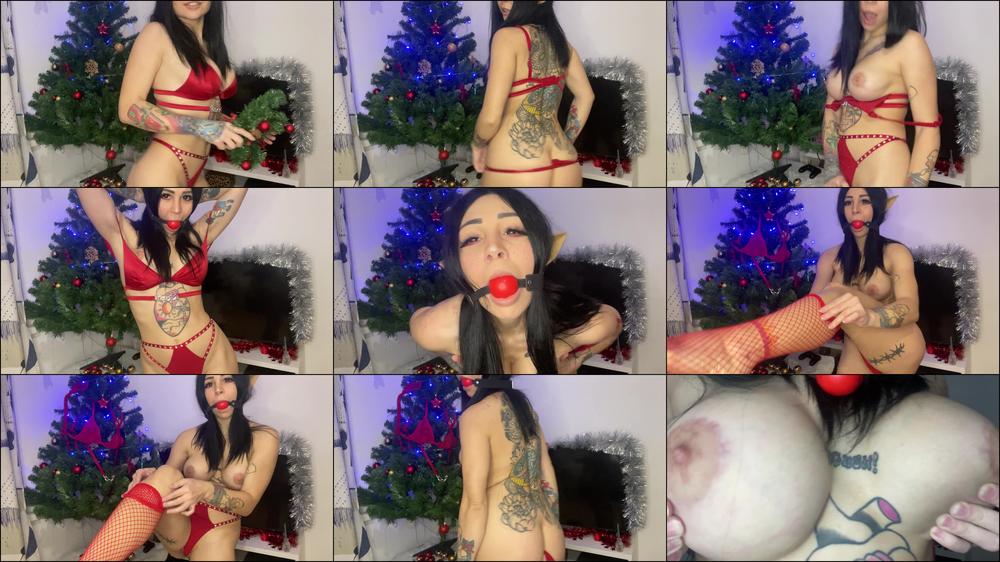 I M Your Christmas Elf