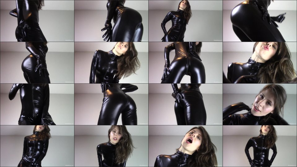 Miss Melissa Shiny Home Wrecker