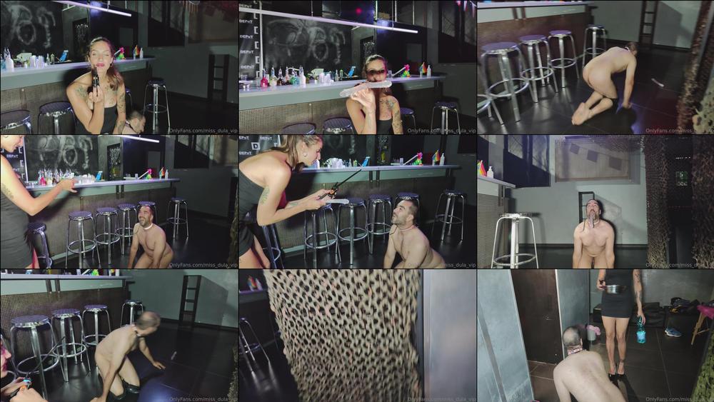 miss dula vip 02 08 2023 2958956390 dog play ecco un gioco che mi diverte