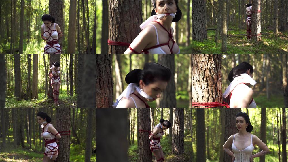 The Girl Is Tied To A Tree In The Forest