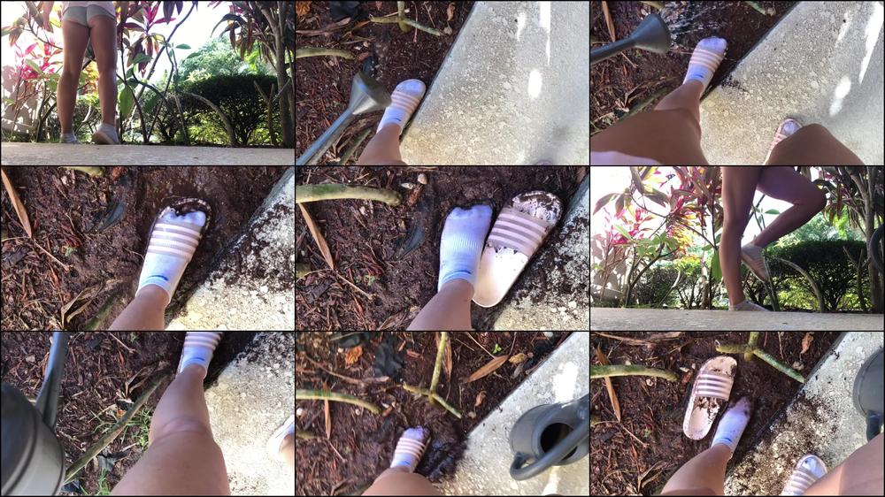 Dirty Socks in the Garden