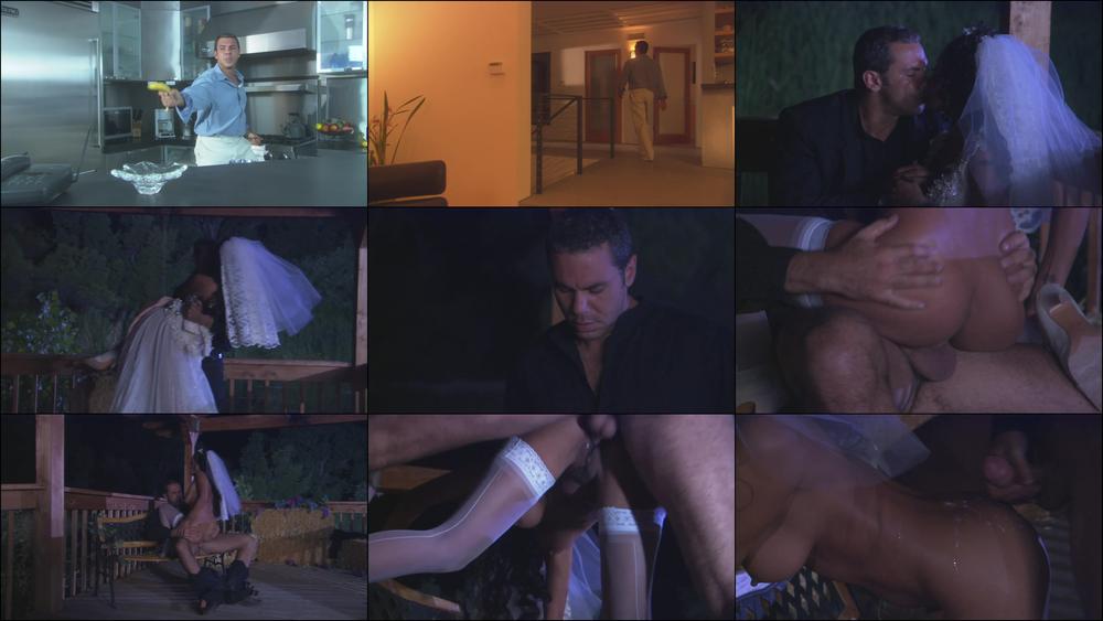 One Horny Bride: Dee's Wedding Hookup