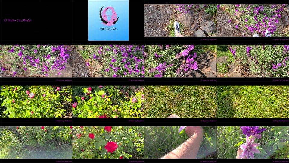 Mistercoxproductions Take A Walk In Vivians Garden