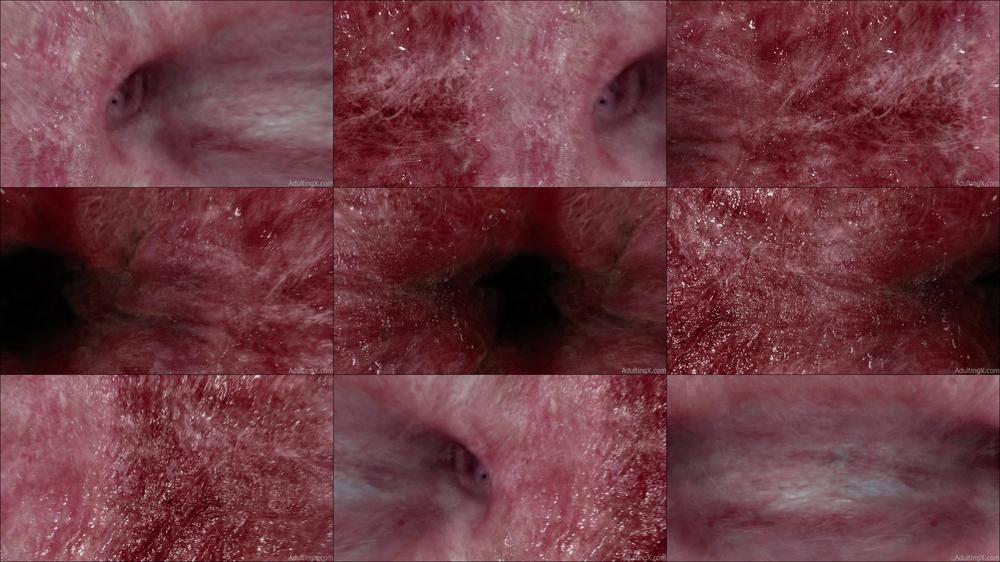 Womb Inside View Heartbeat 4k - Jul 28, 2021