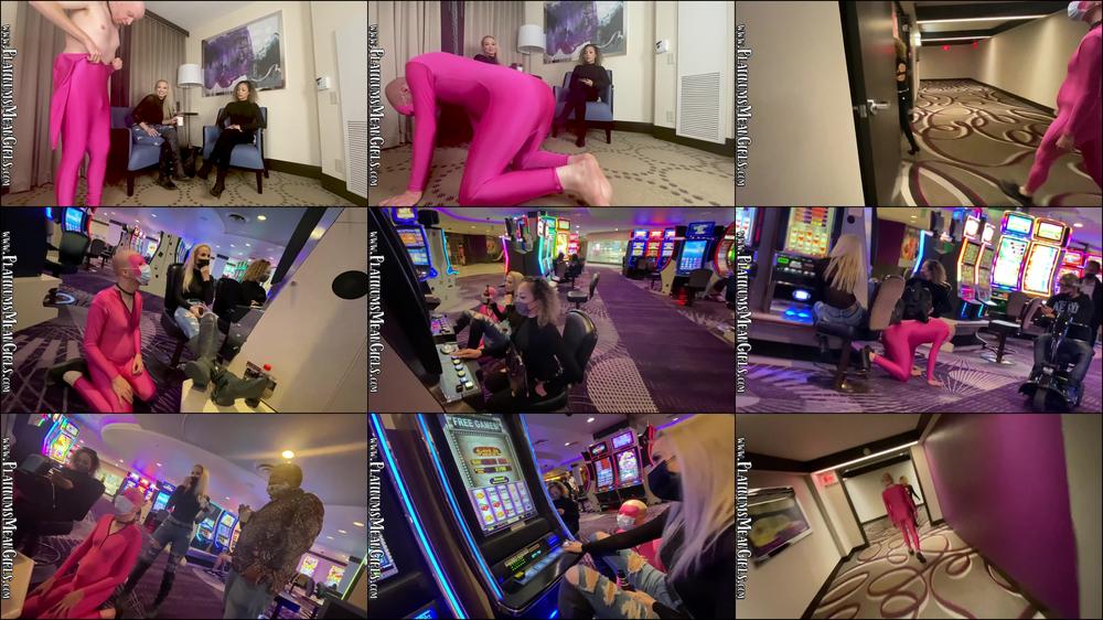Pink Pansy On Public Display - May 21, 2021
