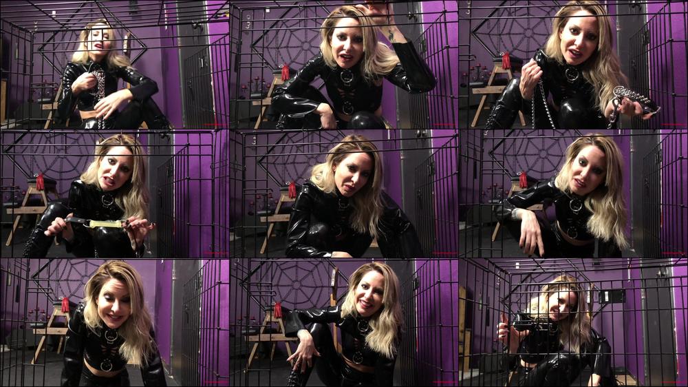 Goddess Helly's Slave Is In The Doghouse