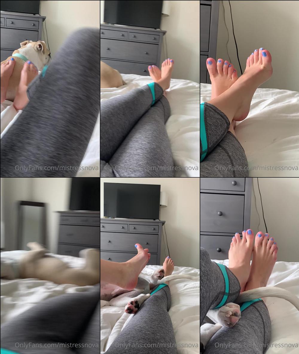 worshipnova 05 05 2020 287627287 A delicious two minute foot worship clip with a special appearance by My pup 