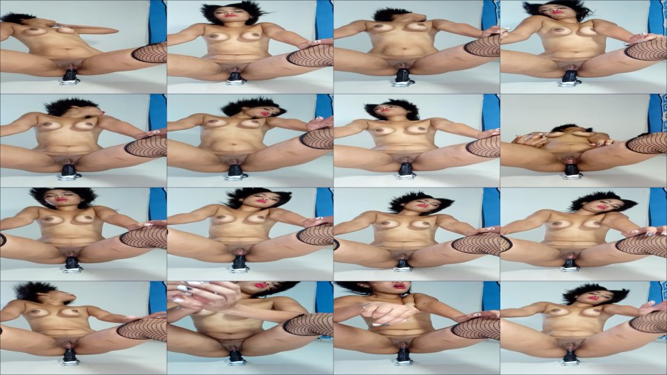 Xamy 97 Horse Tasting For My Anus