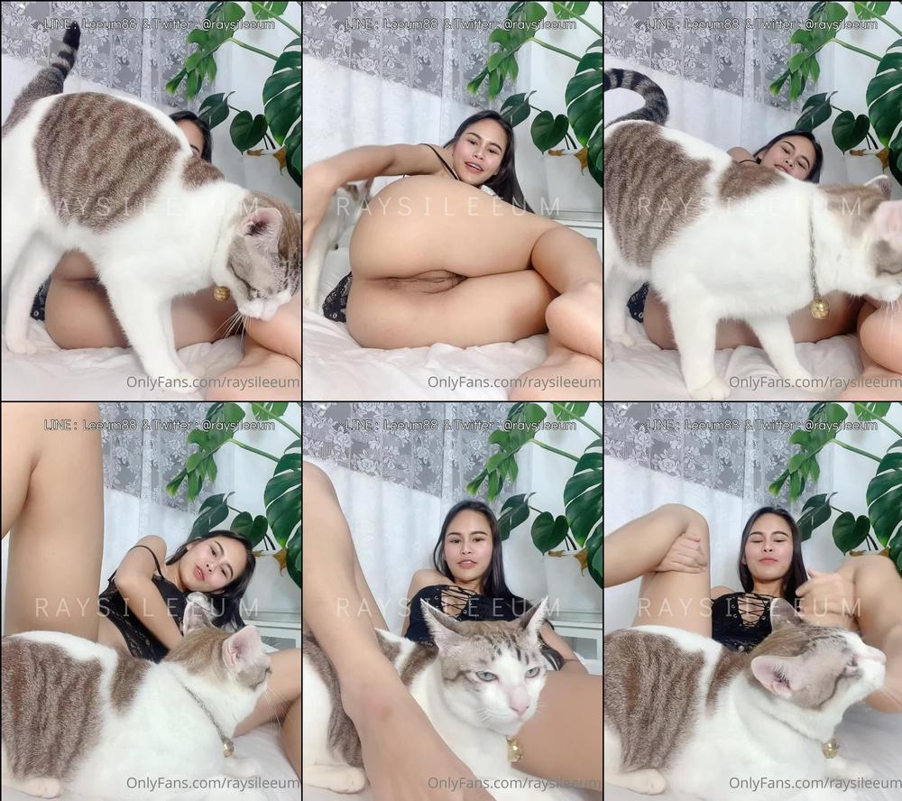 raysileeum 02 08 2022 2545212532 cat teasing me it's so cute à¹à¸à¹à¸²à¹à¸¡à¸§à¸à¸µà¹à¹à¸à¸¥à¹à¸ 