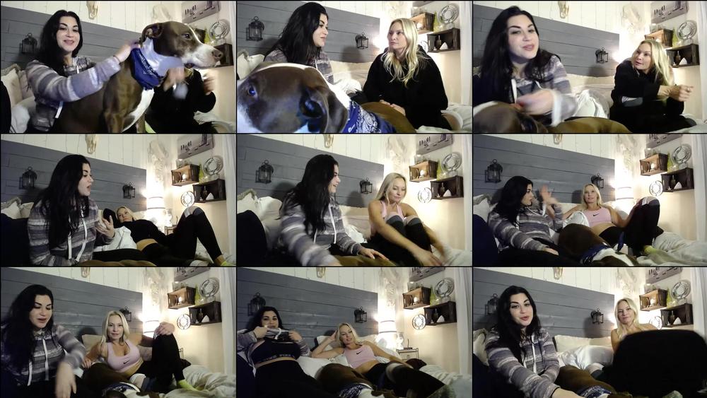 saffronxxrose 9358827 2019 11 26 stream started at 11262019 0356 am youfknwish