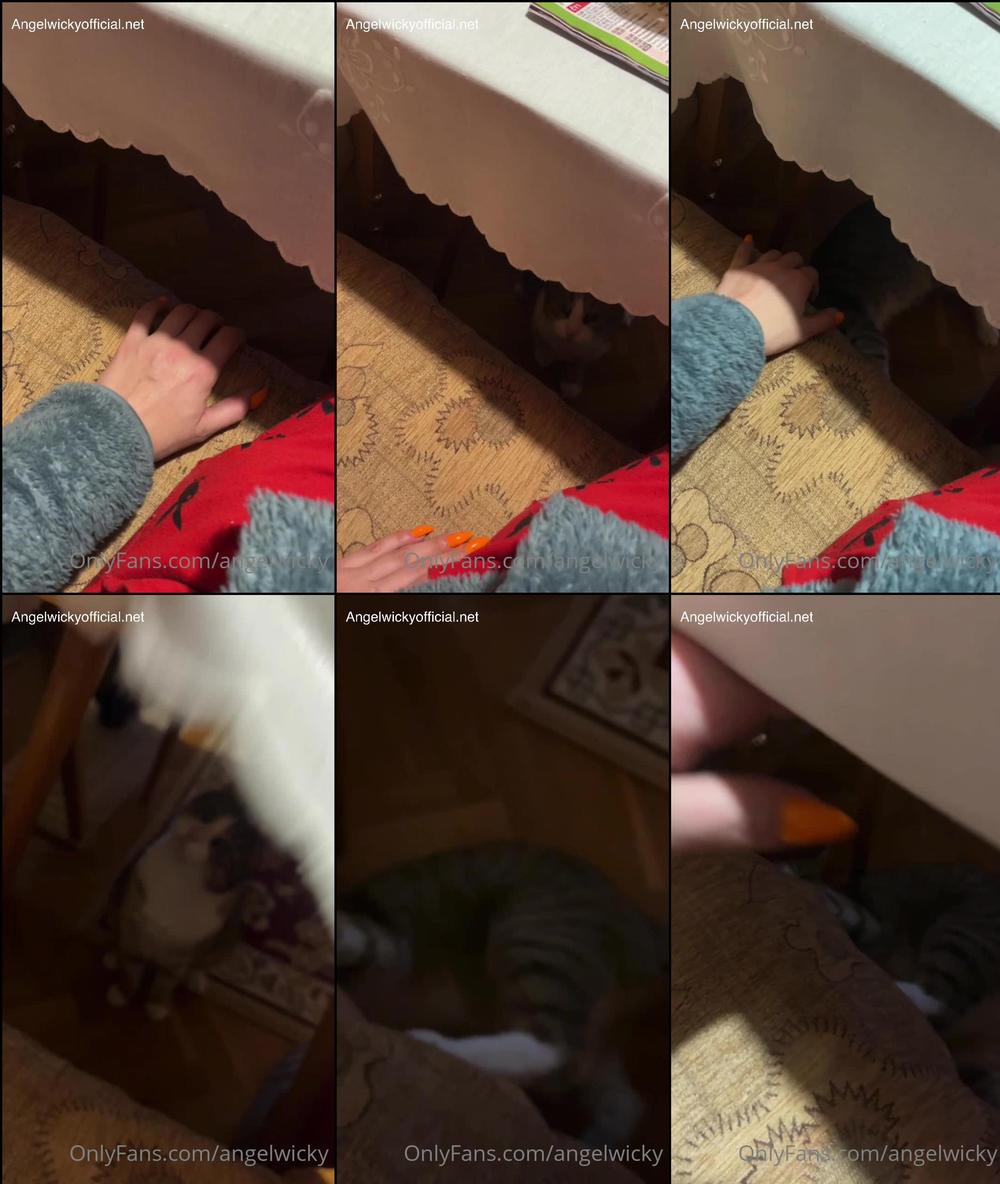 angelwicky 02 03 2022 2380568894 Playing with dadâs kitty 