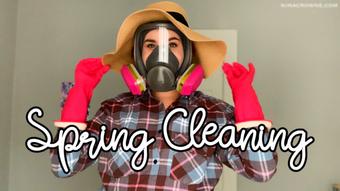 Spring Cleaning (Nina Crowne)