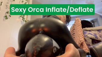 Orca Review/ SEXY DEFLATION - January 26, 2024 (LoonaPop)