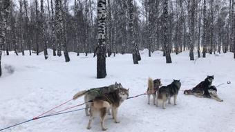 Gina Gerson in Siberia (Gina Gerson Real)