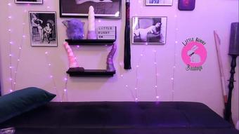 Bunny Tail Fuck Live (LittleBunnyB)