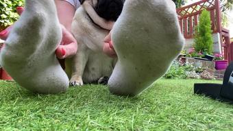 anas_socks 05 06 2021 2128135322 Teasing you with my dirty filthy socks  Happy Weekend losers (anas_socks)