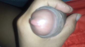 naughty and playful penis (Lola bbunny)