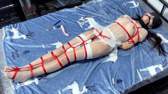 VIP_Bondage Damsel On The Bed In Despair (bondagetea)