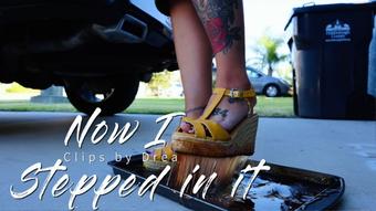 Now I Stepped In It (Drea_xoxo)