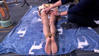 VIP_Girls Freaky Fantasies Part 3 (bondagetea)