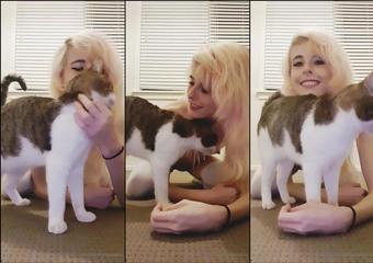 sammysplosion 10 04 2020 223878545 This is for those of you who wanted to hear my voice. Also, there's a cat... Can you handl (sammysplosion)