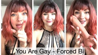You Are Gay- Imposed Bi - September 25, 2023 (Yourhikerbabe)