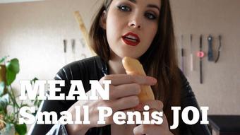 MEAN Small Penis JOI (Larah_Sky)