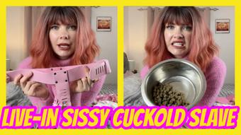 Live-In Sissy Cuckold Slave - January 08, 2025 (Yourhikerbabe)