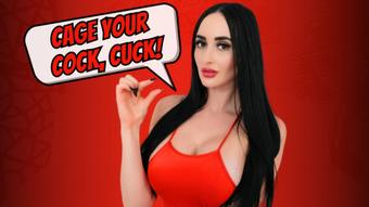 Cage Your Cock, Cuck - December 06, 2024 (Violet Voss)