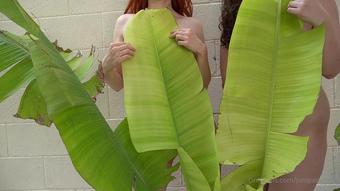 thenikitafoxx 07 05 2020 294058028 I made this little vid with @xoxokayla  We're hiding our naked bodies behind palm tree lea (thenikitafoxx)