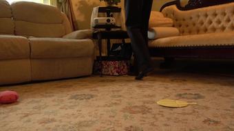 Ariel Anderssen Cat Burglar Whoopee Cushion Disaster (Ariel Anderssen)