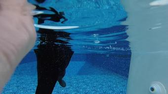 Buddahsplayground Waders In Cold Pool (BuddahsPlayground)
