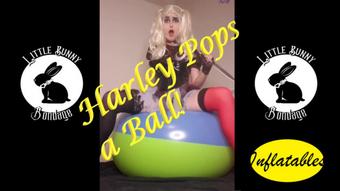 Harley Quinn Pops a Ball - Nov 8, 2021 (LittleBunnyB)