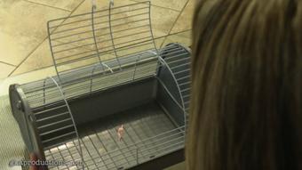 Nikki Shrinks & Teases Shrunken Husband (Ginary)