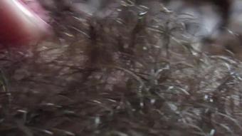 Cuteblonde666 Big Clit Hiding In The Hairy Bush (cuteblonde666)