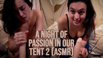 A Night Of Passion In Our Tent 2 ASMR (Summer Fox)