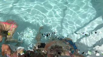 Wild Pool Party (Jameshardon007)