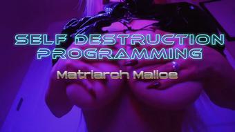 Self Destruction Programming - July 12, 2023 (missxxcharlotte)