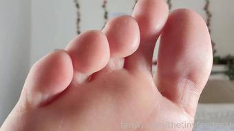 thetinyfeettreat 2022-05-26 at 00-23 Fansly (TheTinyFeetTreat)
