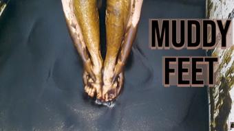Muddy Feet (Summer Fox)