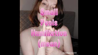 Small Penis Humiliation mean (Lizzymaestro)